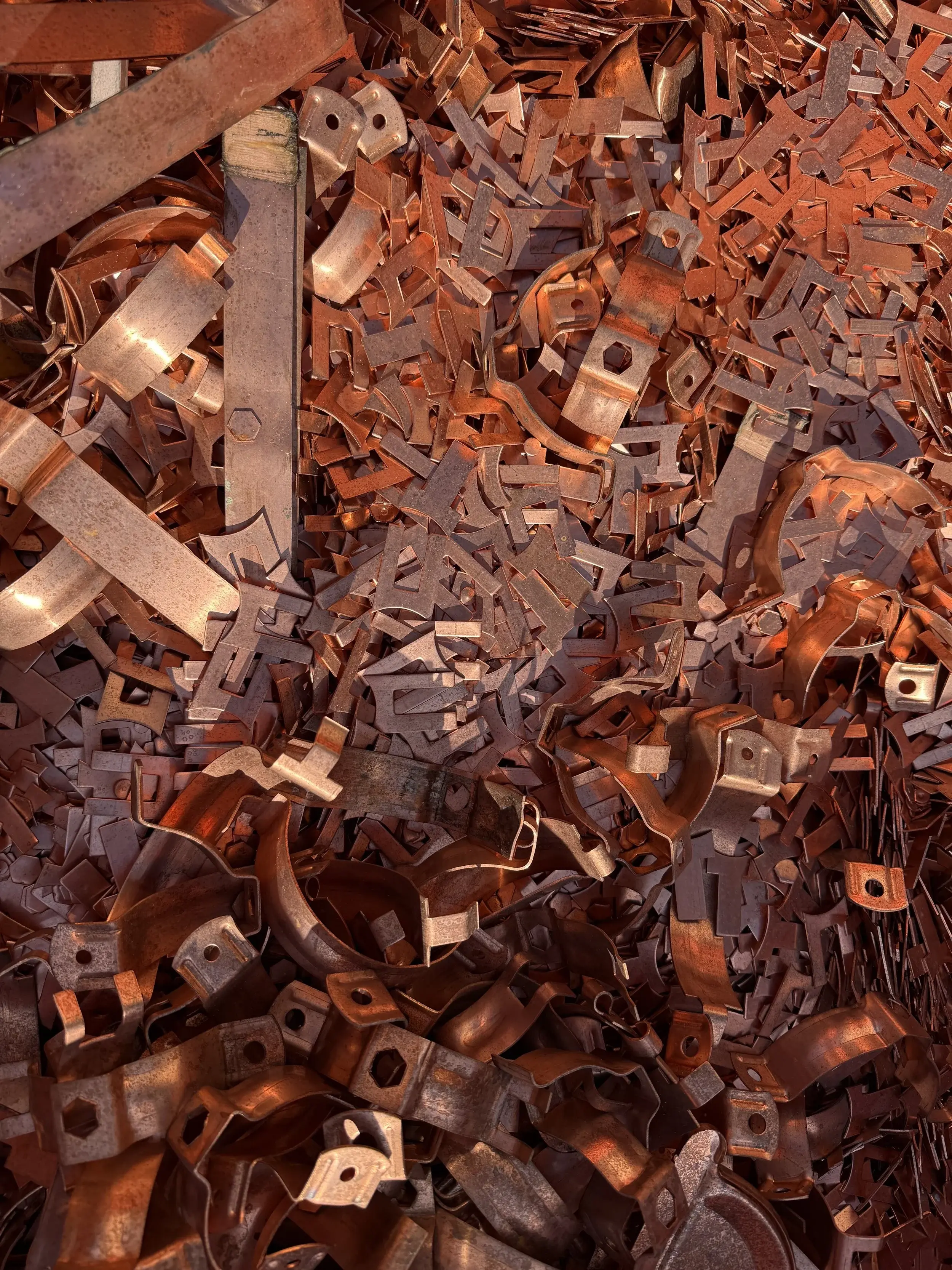 Servizi image